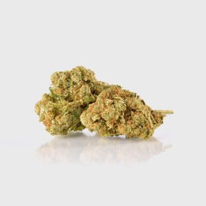 🔥 Amnesia 40% Superior